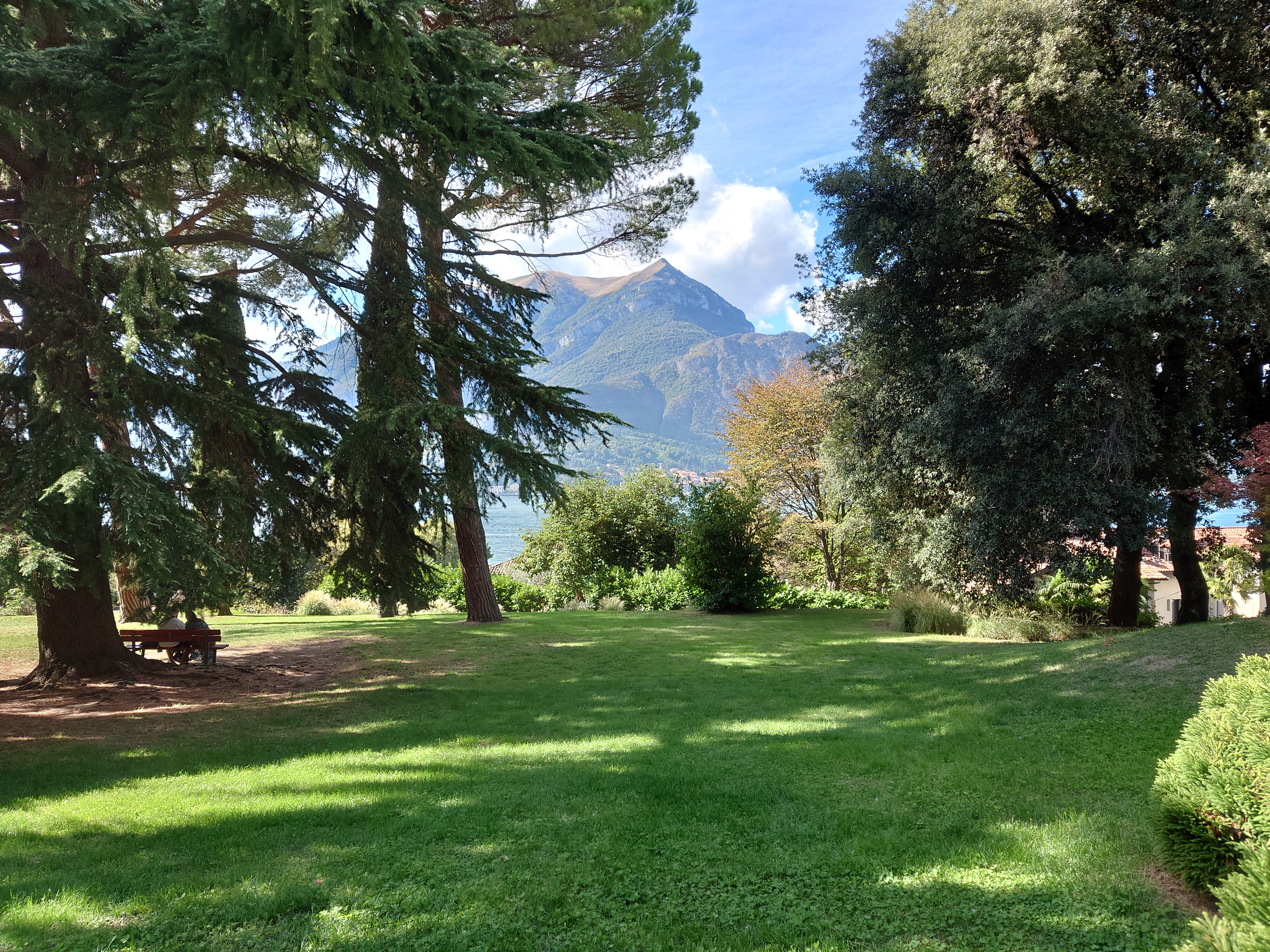 2025年11月25日，夏女士一家海外身份获批！